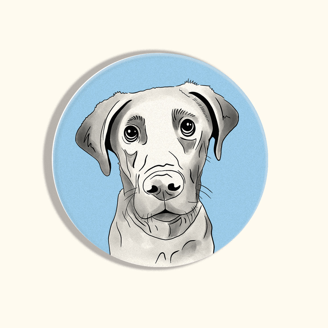Lab Coasters