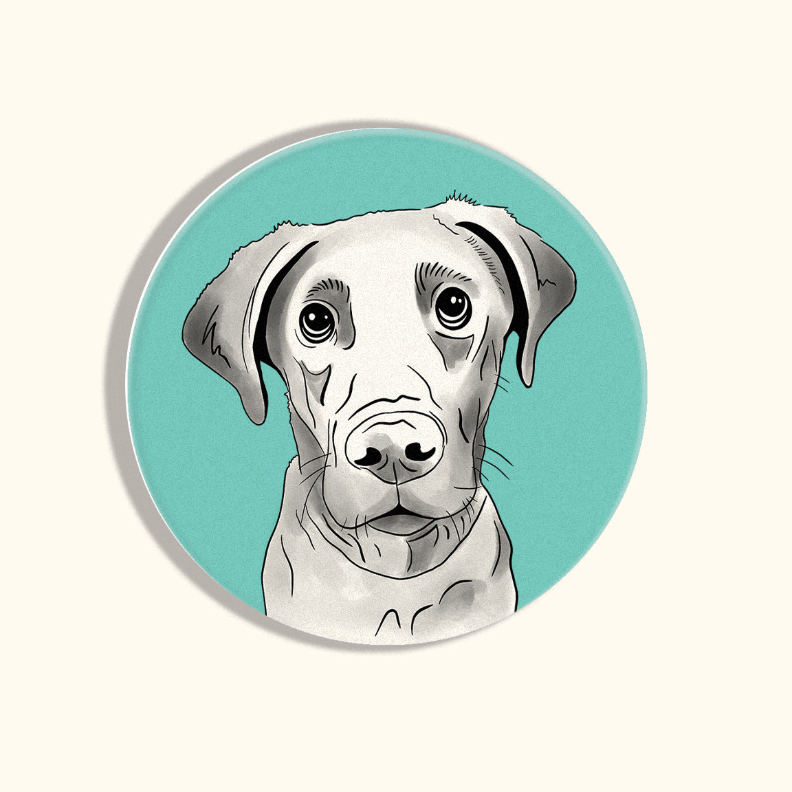 Lab Coasters