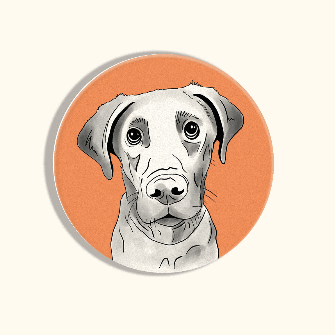 Lab Coasters