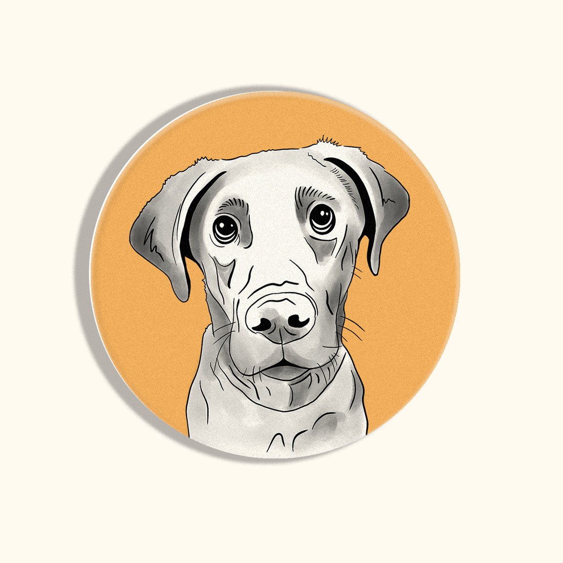 Lab Coasters