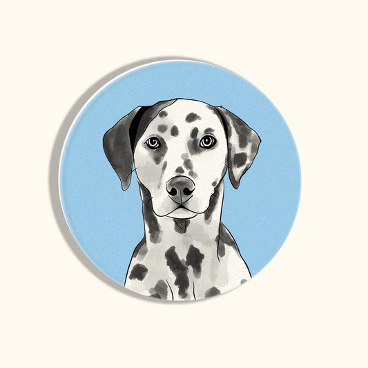 Dalmatian Coasters
