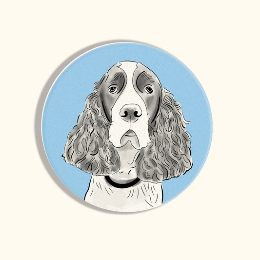 English Springer Coasters
